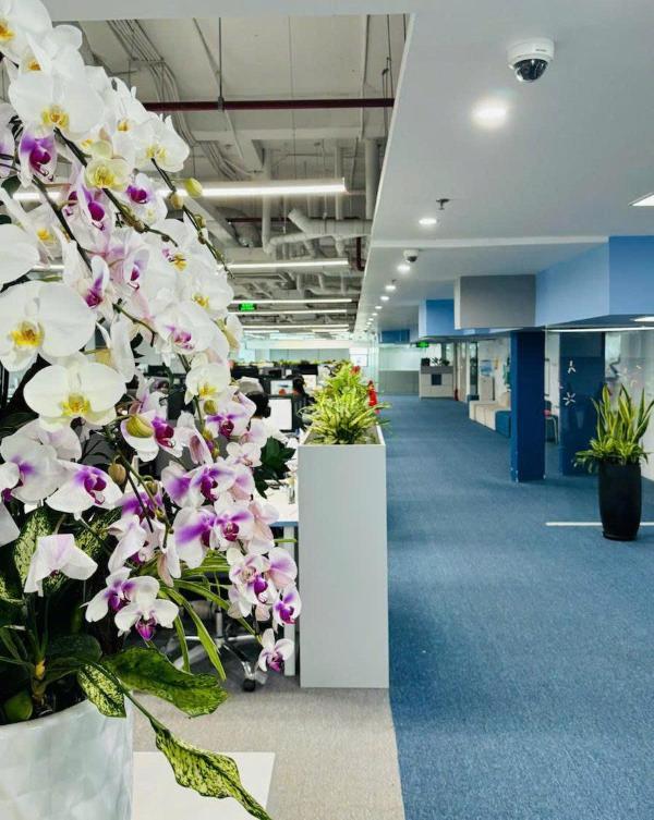 Chủ cần bán Nhà trong hẻm 54m²