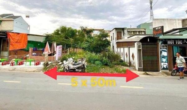 Cần bán Đất nền riêng lẻ 250m²