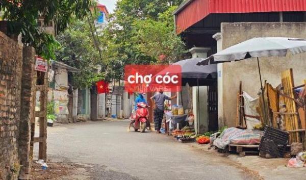 Cần bán Đất nền riêng lẻ 99m²