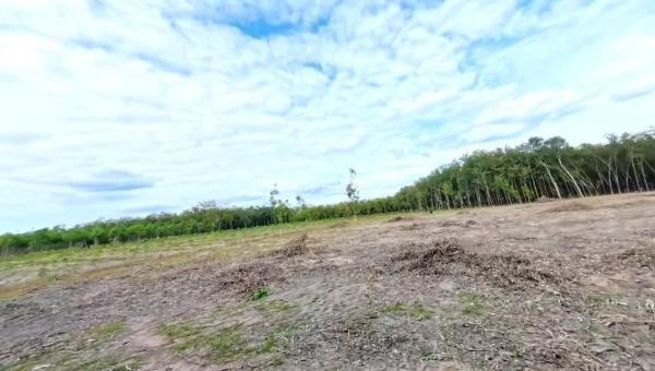 Chính chủ bán đất rộng 5.603m² 🏠 nha bích, chơn thành giá chỉ 150 triệu