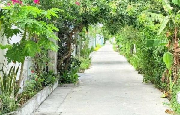 Bán Đất nền riêng lẻ 117m²