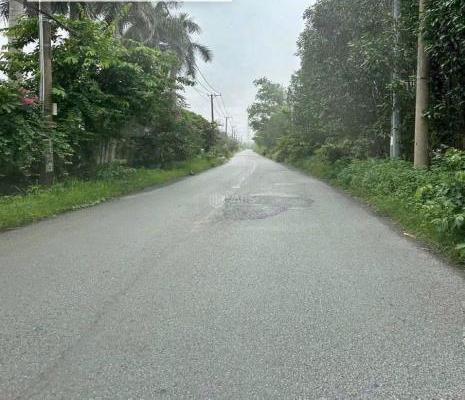 BÁN 🏘️ VƯỜN BƯỞI THIỆN TÂN - NAY THUỘC P TRẢNG DÀI 🍐🍐