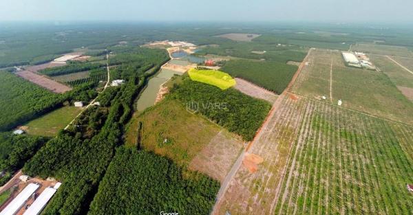 Chủ cần bán Trang trại, nhà vườn 5600m²