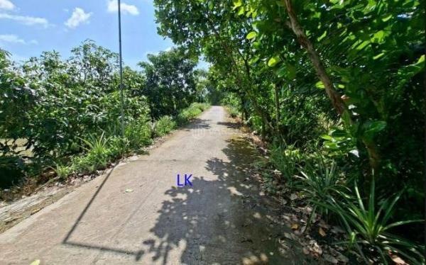 Cần bán Đất nền Dự án 143m²