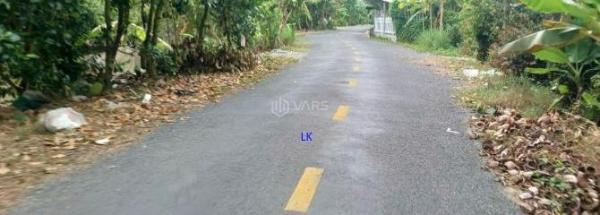 🔰 Bán đất đã lên vườn: 11.800m² (35x315, đất lúa, nở hậu 42m) 💥 Đường nhựa 5.5m, xã Mỹ Thọ