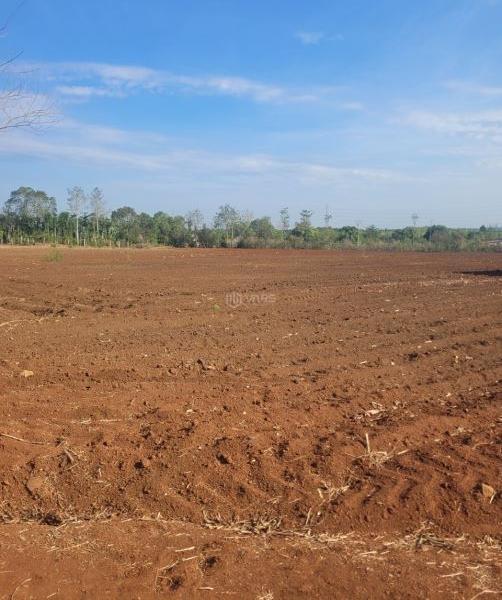 Chủ cần bán Đất nền riêng lẻ 13821m²