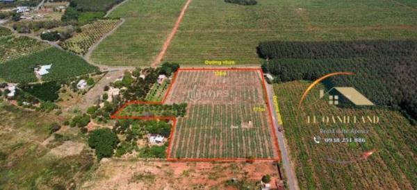 Bán Đất nền riêng lẻ 19815m²