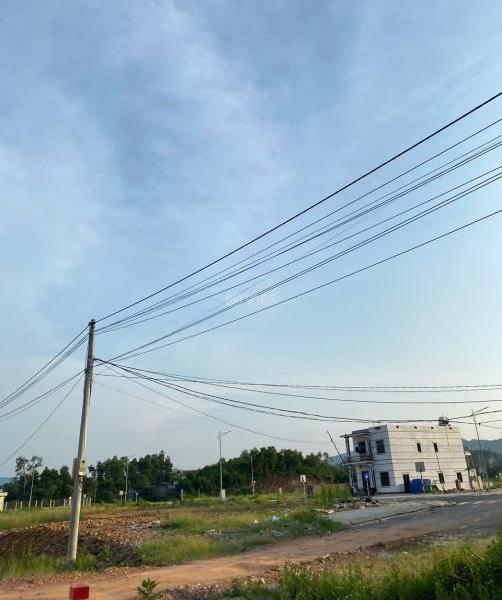 Bán Đất nền riêng lẻ 216m²