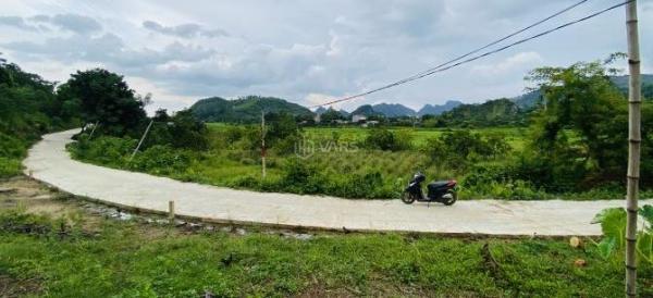 Chủ cần bán Đất nền riêng lẻ 284m²