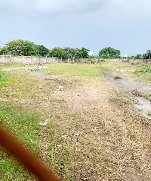 Đất Đẹp 50x80m Thổ Cư 3500m2 Mặt Tiền Đường Nguyễn Thị Thử Hóc ☘ Môn Giá 70tr/th lâu Dài