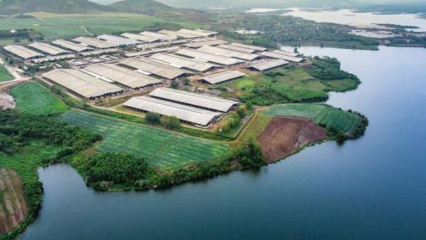 Cần bán Đất nền riêng lẻ 200m²