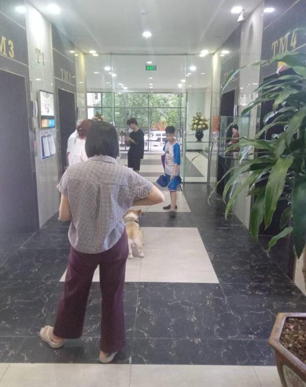 Bán Căn hộ chung cư 72m²