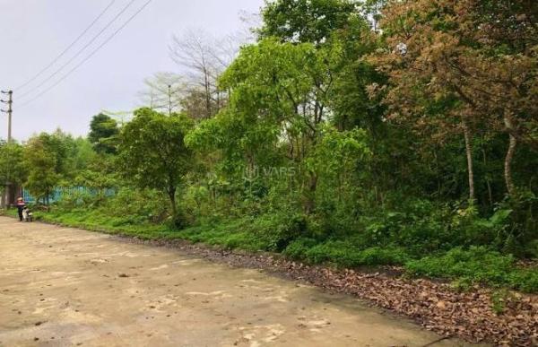 Bán Đất nền riêng lẻ 853m²
