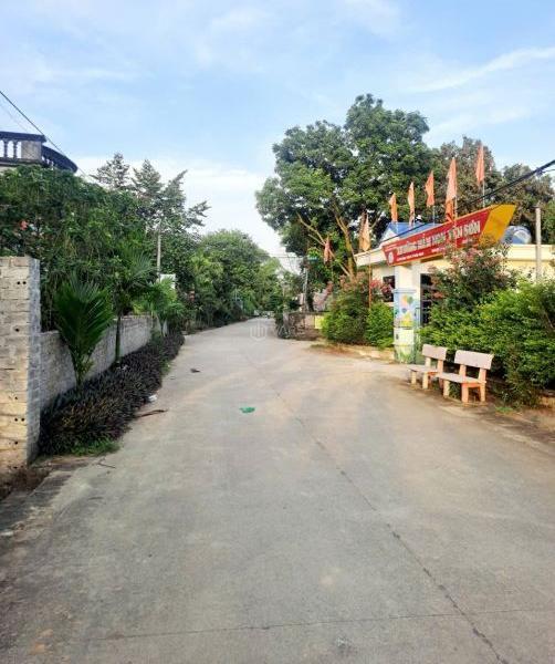 Đất 🏘️ rẻ phường Yên Sơn, Tam Điệp