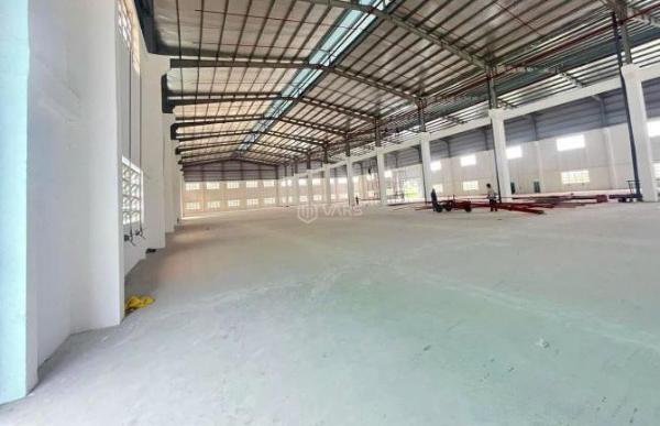 CHO THUÊ GẤP XƯỞNG 5.200M² TẠI 🏚️ BẾN LỨC – PCCC CHUẨN, VĂN PHÒNG SẴN, XE CONT RA VÀO 24/24