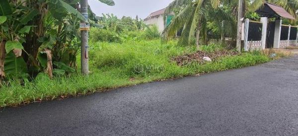 Bán 1531m có 120m 🏚️ TC đất mặt tiền rộng đường Mỹ Khánh Bông Giang cách chợ Mỹ Khánh 2,5km
