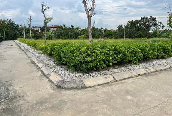 Bán Đất nền riêng lẻ 120m²