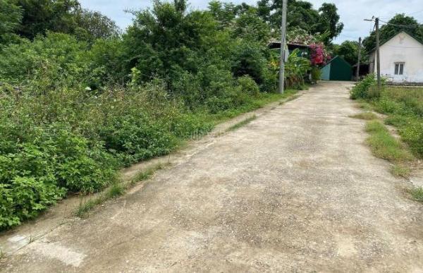 Bán ô đất tại xã Nghi Đức cũ. Vị trí cách Lote 🏢 trung tâm Vinh khoảng 3km - Diện tích 257,