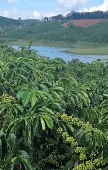 Cần bán Khác 310000m²