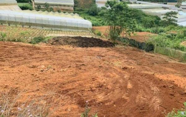 Cần bán Đất nền riêng lẻ 1500m²
