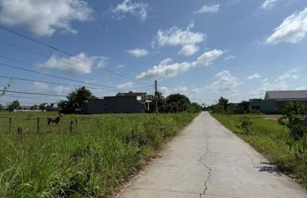 [BÁN 🏚️ GẤP] Đất mặt tiền - Đức Lập Hạ – Đức Hòa – Long An – Lô lớn, 100% thổ cư