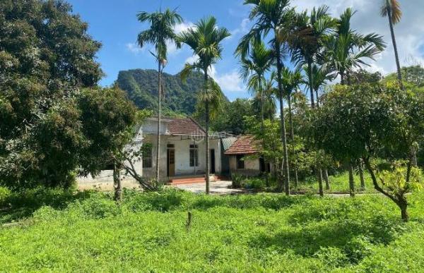 Bán Đất nền riêng lẻ 7350m²