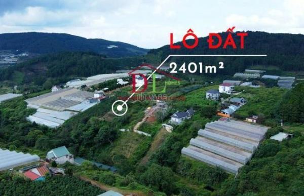 Bán lô đất Măng Lin, Đà Lạt 2401m² 🆘 được chuyển full thổ cư giá chỉ 7,5tr/m²