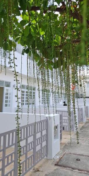 NHẬN NHÀ PHỐ FULL NỘI THẤT TẠI TRÃNG BÀNG CHỈ VỚI VỐN 729 TRIỆU - HÀNG 🆘 THÁNG NHẬN THÊM 8
