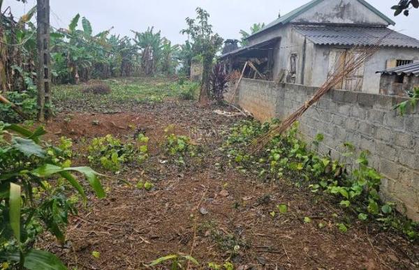 ✅EM BÁN LÔ ĐẤT, Diện tích 539.7m2 150tc lô góc 2 mặt 🏘️ tiền tại Dũng Phong, Cao Phong, Hòa B
