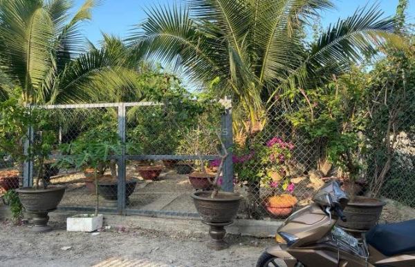 Bán đất view sông cầu 🏠 bè phù hợp làm biệt thự