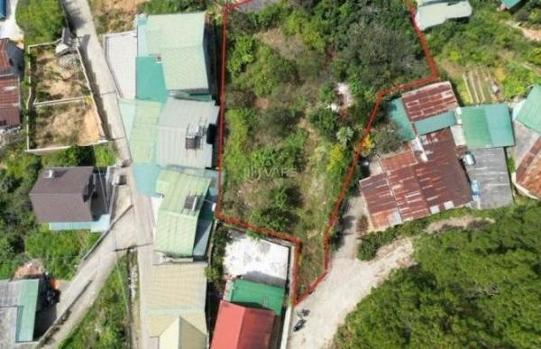 655m2 Đất View thông xanh Hoàng Hoa Thám Phường 🏤 10 Đà Lạt 12 Tỷ