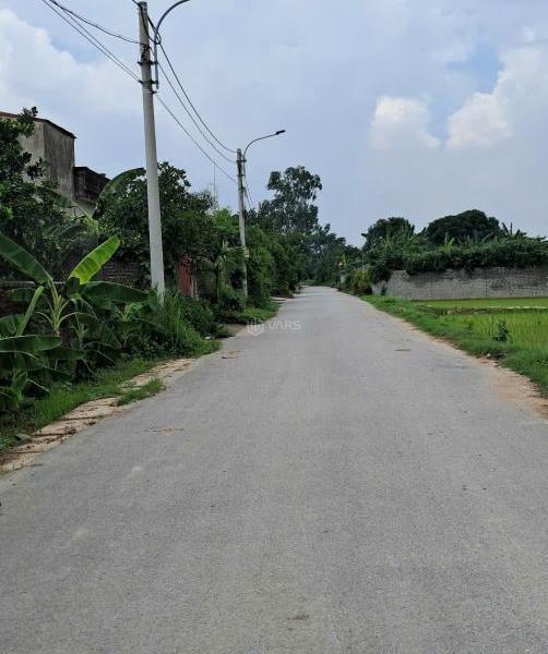 Bán Đất nền riêng lẻ 492m²