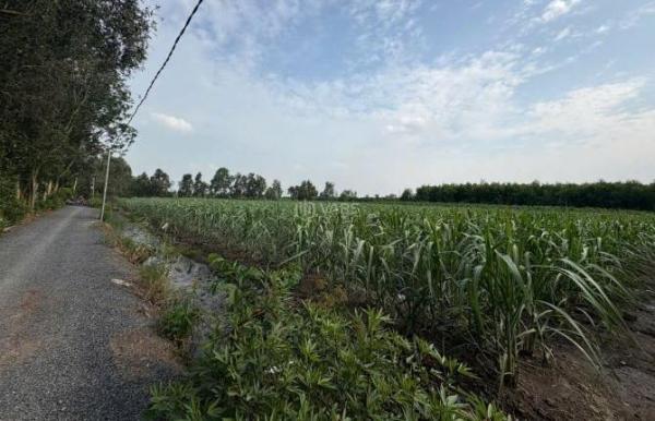 Cần bán Khác 10000m²