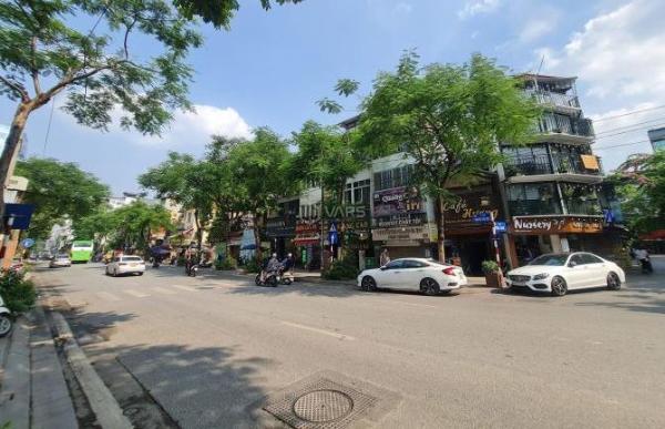 bán nhà mặt phố Nguyễn Thái Học, Ba Đình – 525m², mặt tiền ☘ 21m, 3 tầng, giá 350 tỷ