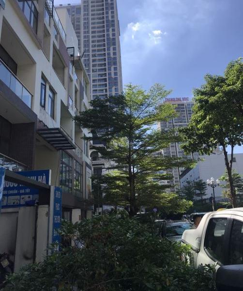 Chủ cho thuê Khác 120m²