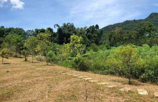 NGHỈ DƯỠNG,HOMESTAY LƯNG TỰA ĐỒI, SUỐI ĐẦU NGUỒN CHẢY QUA ĐẤT 🔥 6600M 5,6 TỶ ĐÀ BẮC HOÀ BÌNH