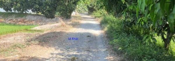 🔰 Bán đất lúa: 26.000m² (Mặt tiền 57m, dài 460m) 🔰 Đường đá xe 💥 ô tô, xã Láng Biển