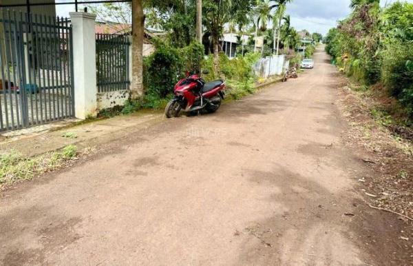 Mặt tiền đường nhựa TDP 9, phường 🏚️ Tân Lợi, TP.BMT