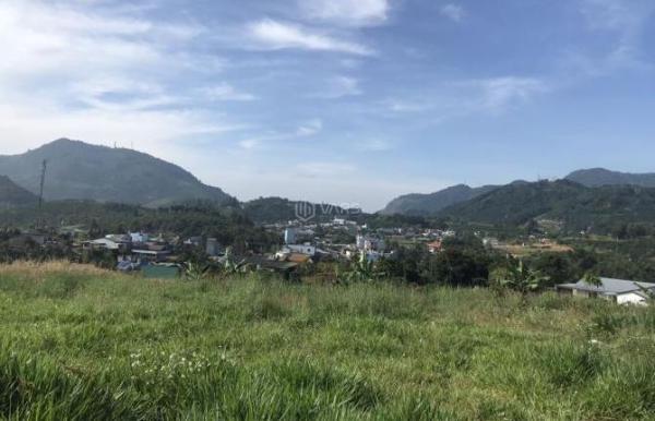 Chủ cần bán Khác 1300m²