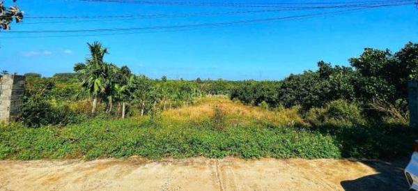 2 SÀO ĐẤT CÓ 250M² THỔ CƯ – ĐƯỜNG VÀO ĐẬP DÒ GÀ – CÓ SUỐI SAU 👍 ĐẤT