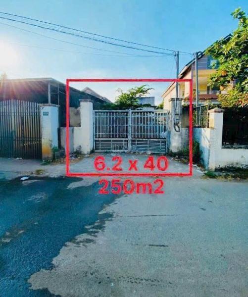 Bán ☘ Lô Đất 250m2 sổ riêng , thổ cư 1 Sẹt 150m Đường Bùi Hữu Nghĩa, Tân Hạnh, Biên Hoà