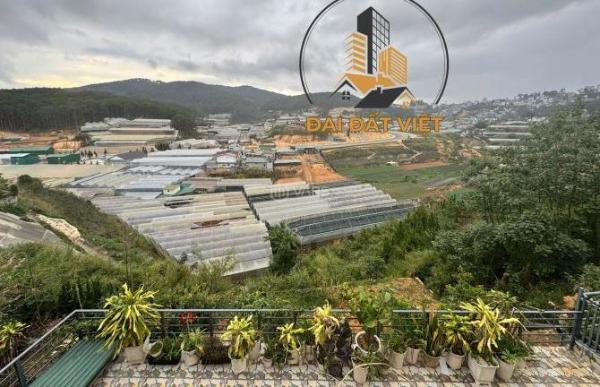 🏠 BÁN NHÀ KQH AN SƠN – P.4( P. XUÂN HƯƠNG ), ĐÀ LẠT - 🏤 30 TỶ