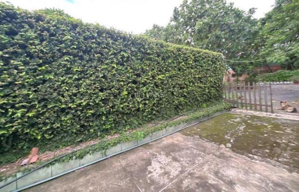 Cần cho thuê Đất nền riêng lẻ 3000m²