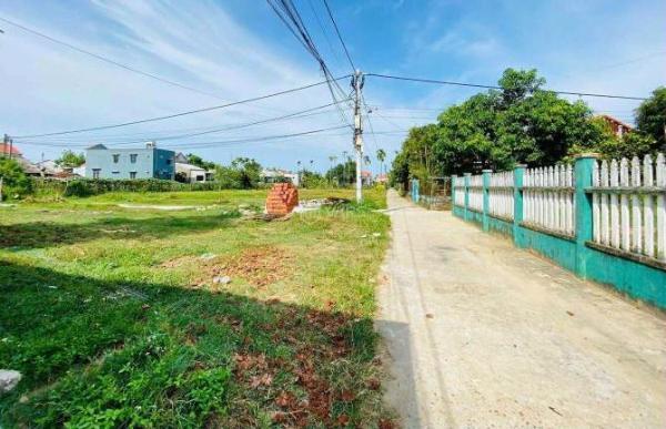 Còn 🏠 1 lô giá rẻ chỉ 6xx sát trục chính đường hoa Tường Vi