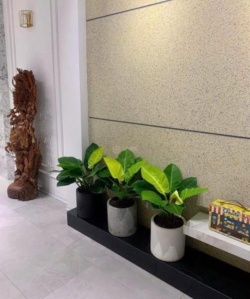 BÁN NHÀ 4 TẦNG MẶT TIỀN TRỤC ĐƯỜNG CHÍNH 19,5M PHÚ MỸ THƯỢNG- VIEW ☘ DỰ ÁN CHUNG CƯ NHÀ Ở XÃ