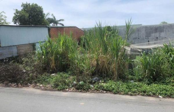 Bán đất Đức 🏠 Hòa, xã Mỹ Hạnh Nam ngay 1 sẹc Gò Hưu, DT 100m2, giá 1.2tỷ thổ cư có SHR