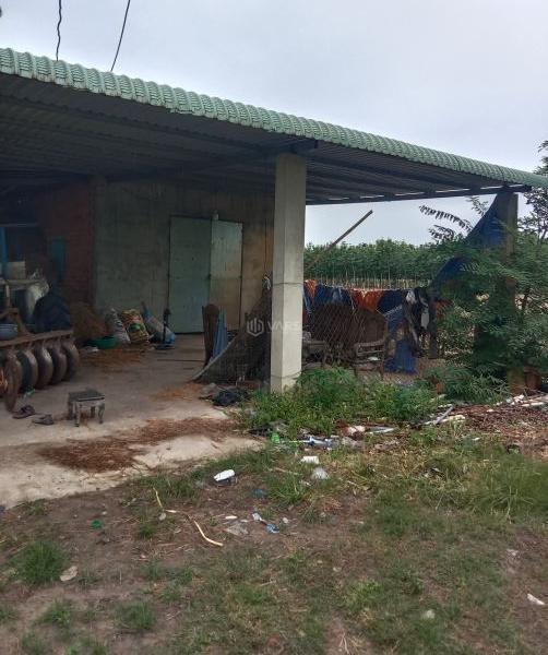 6,7mẫu đất có cao su 🏚️ đang cạo năm đầu,Thạnh Bình Tân biên, cách ngã tư Lâm Vân 5km