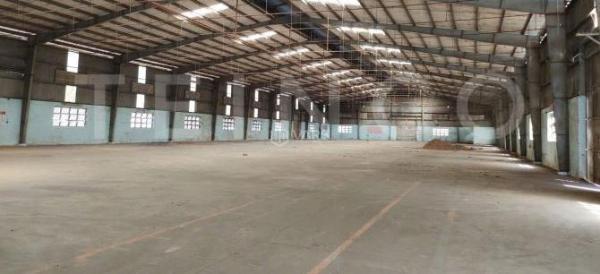 Cần cho thuê Nhà xưởng, nhà kho 11000m²