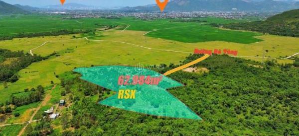 Bán Nhanh Faml Hơn 6Ha View Đồng Thị Trấn - Diên 💥 Sơn Diên Khánh