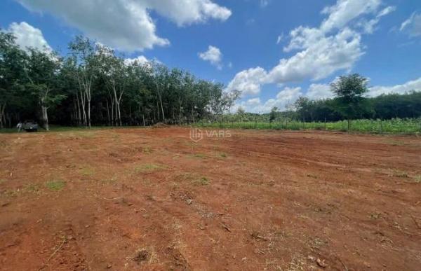 Bán đất 350m2 tại 🏚️ Xã Long Hà, Phú Riềng, Bình Phước, giá 590 triệu VND